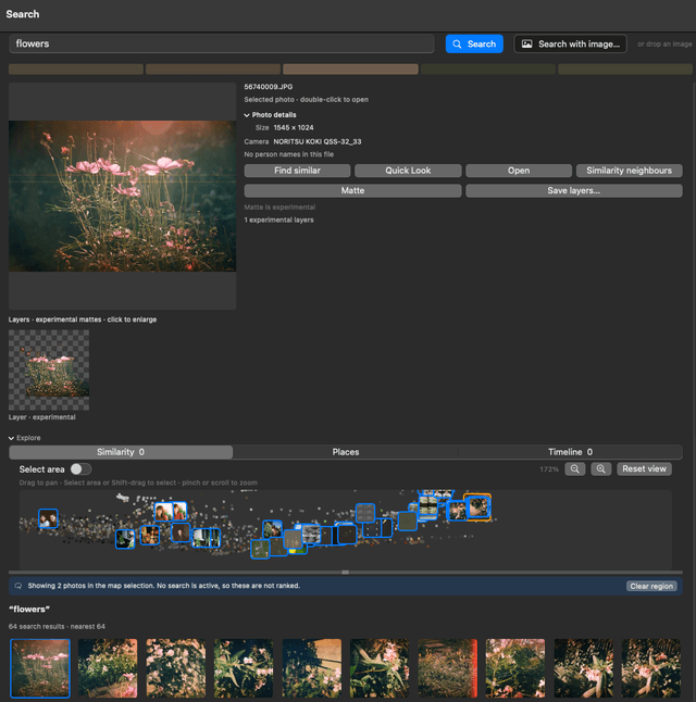 Visual Search Workbench ranking a film-scan library for the query 'flowers': a grid of pink cosmos photos with the selected photo's details open beside it.