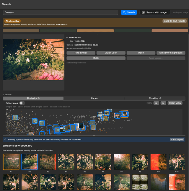 A flower photograph is named as the reference for Find similar, above the resulting images.