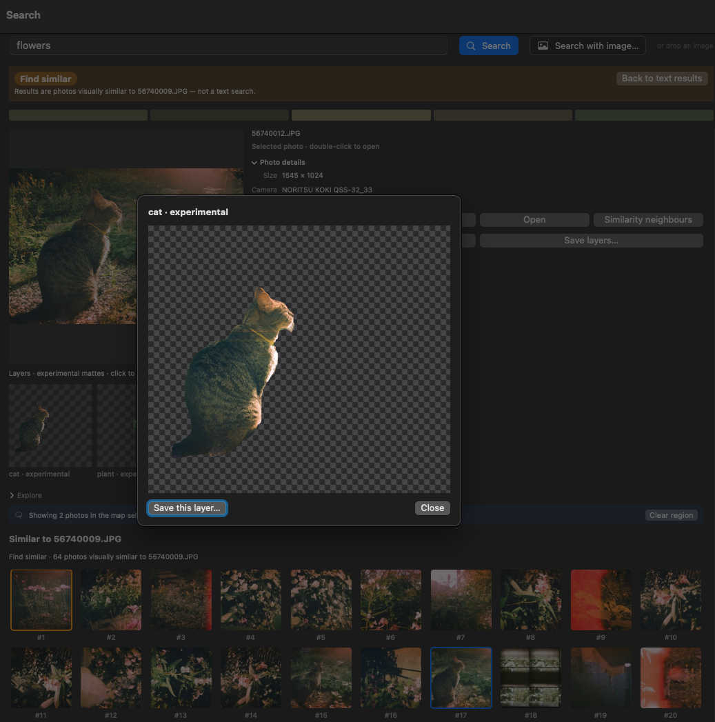 An enlarged layer titled "cat · experimental": the cat cut out on an alpha checkerboard, above a Save this layer button and a Close button.