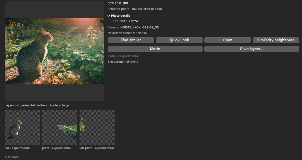 The layer strip for a photo of a cat in a garden: three cutouts on alpha checkerboards labelled cat, plant, and left plant, each marked experimental, beneath the photo's details.