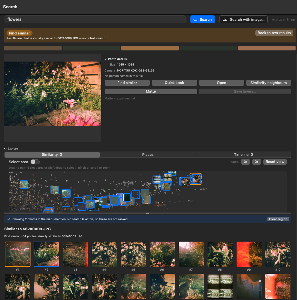 Find-similar mode: a banner reads "Results are photos visually similar to 56740009.JPG — not a text search" with a Back to text results button, above the numbered nearest neighbours of a pink-flower film photo.